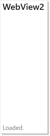 承载 about:blank 的 WebView2